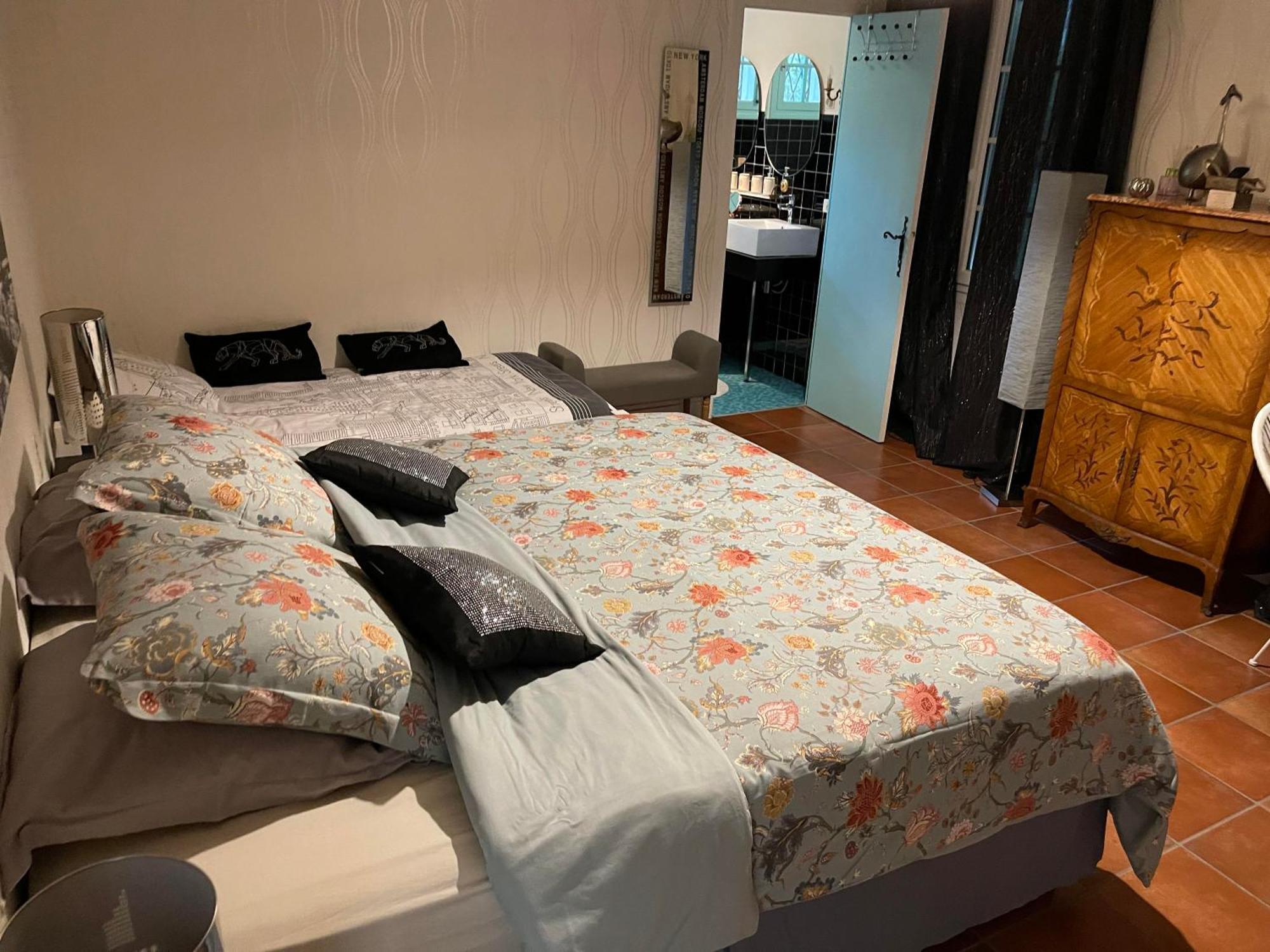 Bretagne-de-Marsan La Belle Chaumiere Bed & Breakfast エクステリア 写真