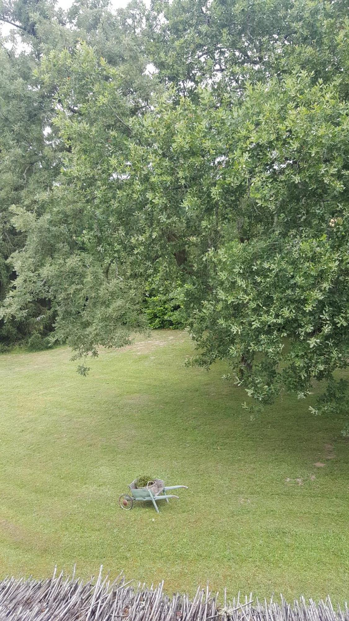 Bretagne-de-Marsan La Belle Chaumiere Bed & Breakfast エクステリア 写真