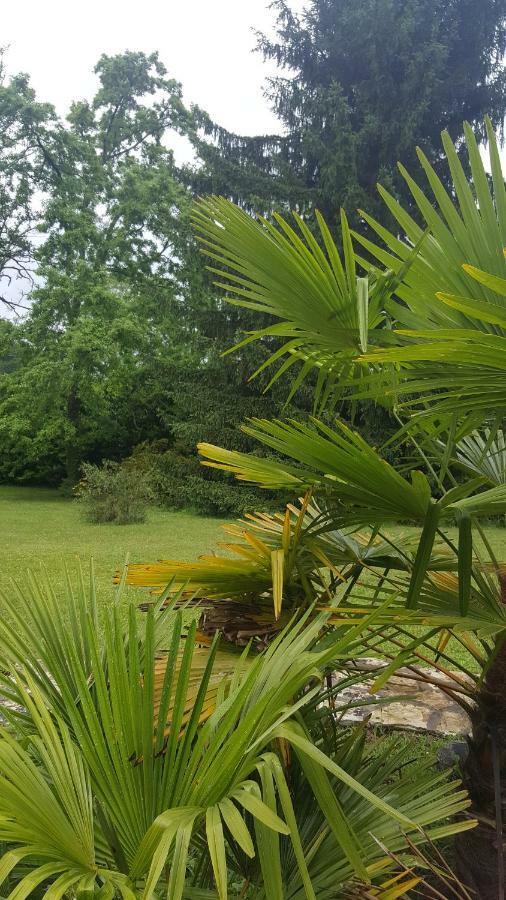 Bretagne-de-Marsan La Belle Chaumiere Bed & Breakfast エクステリア 写真